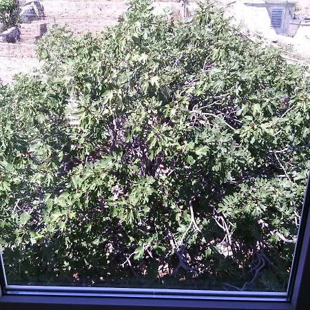 Luminaria Solis Vacation * Rogoznica (Sibenik-Knin)