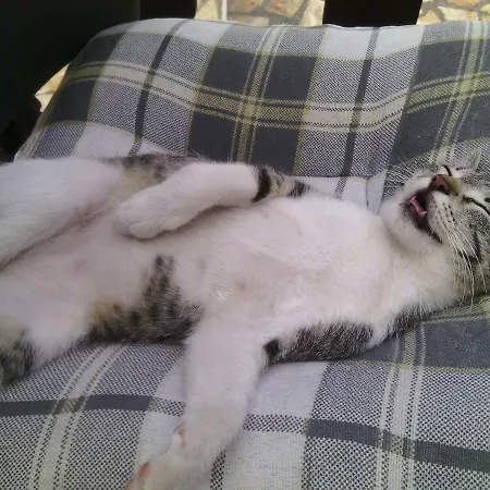 Luminaria Solis Vacation Dom wakacyjny