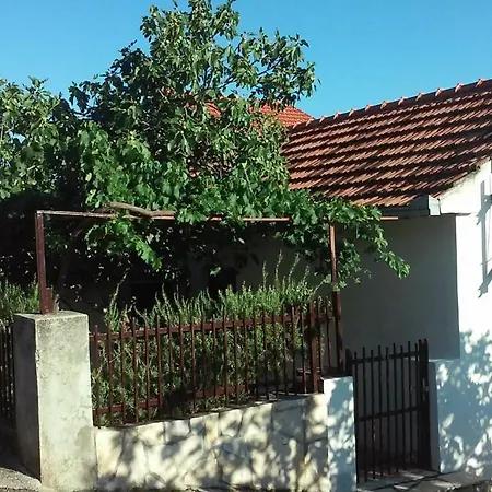 Luminaria Solis Vacation *