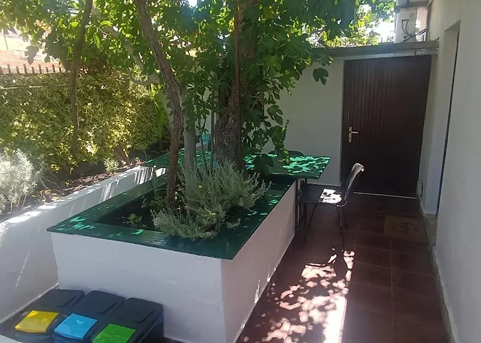 Luminaria Solis Vacation * روغوزنيكا