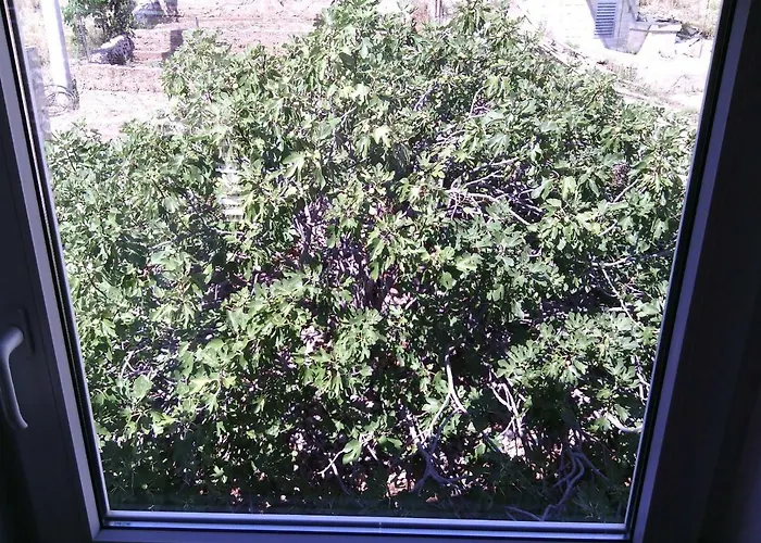 Luminaria Solis Vacation * Rogoznica (Sibenik-Knin)