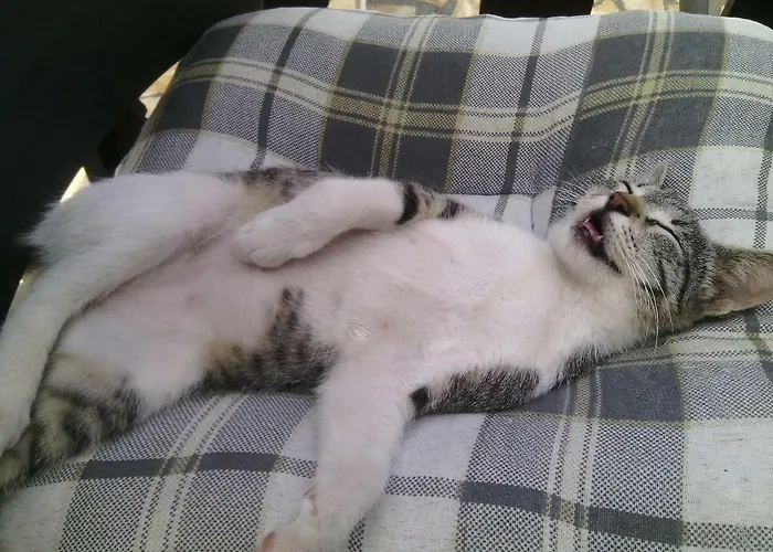 Luminaria Solis Vacation بيت للعطل