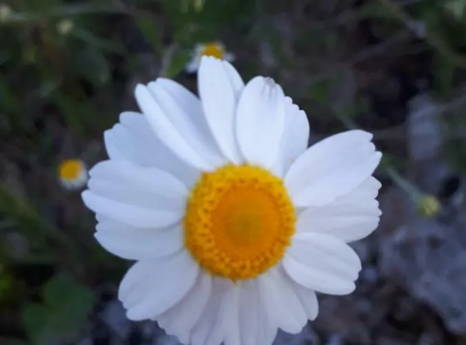 بيت للعطل Luminaria Solis Vacation روغوزنيكا