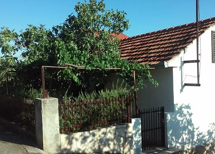 Luminaria Solis Vacation *