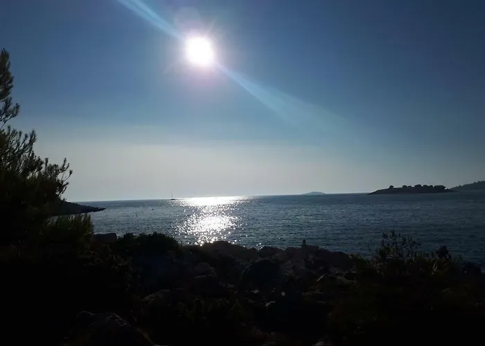 Luminaria Solis Vacation * روغوزنيكا